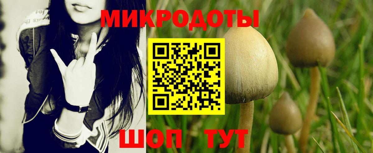 купить наркотики цена  Вход с VPN  Рубцовск  Псилоцибиновые грибы Cubensis  Галлюциногенные грибы Cubensis 